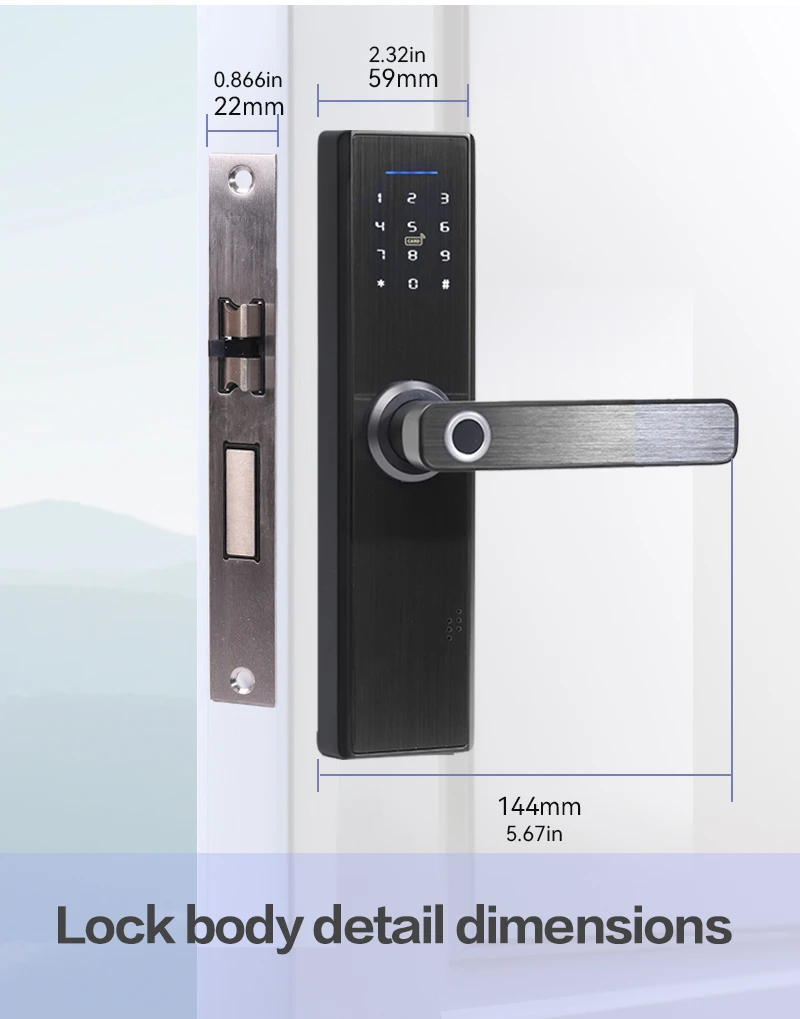 product-800-1019